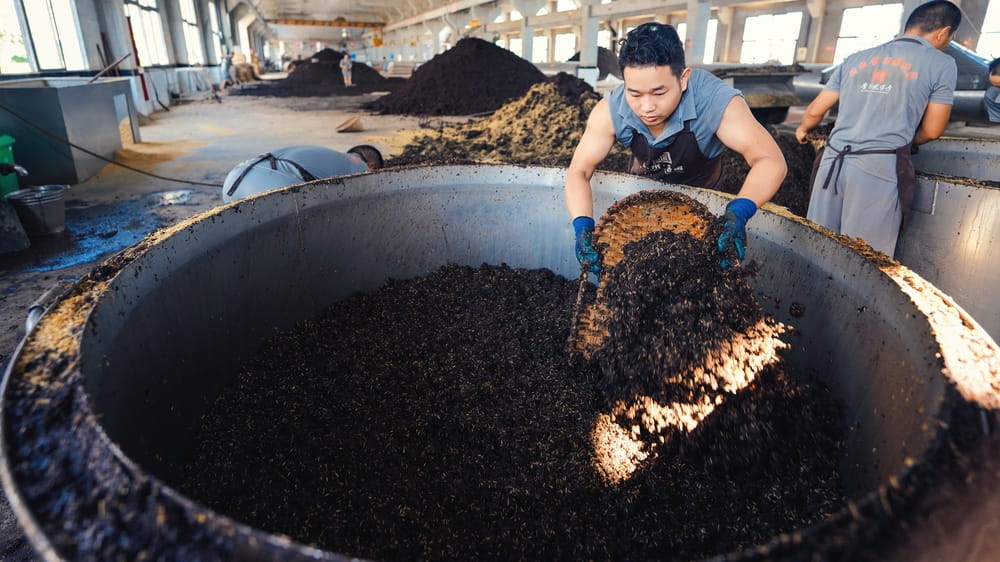 金窖酒业酿造车间