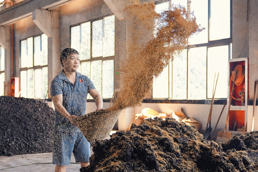 金窖酒业酿造车间